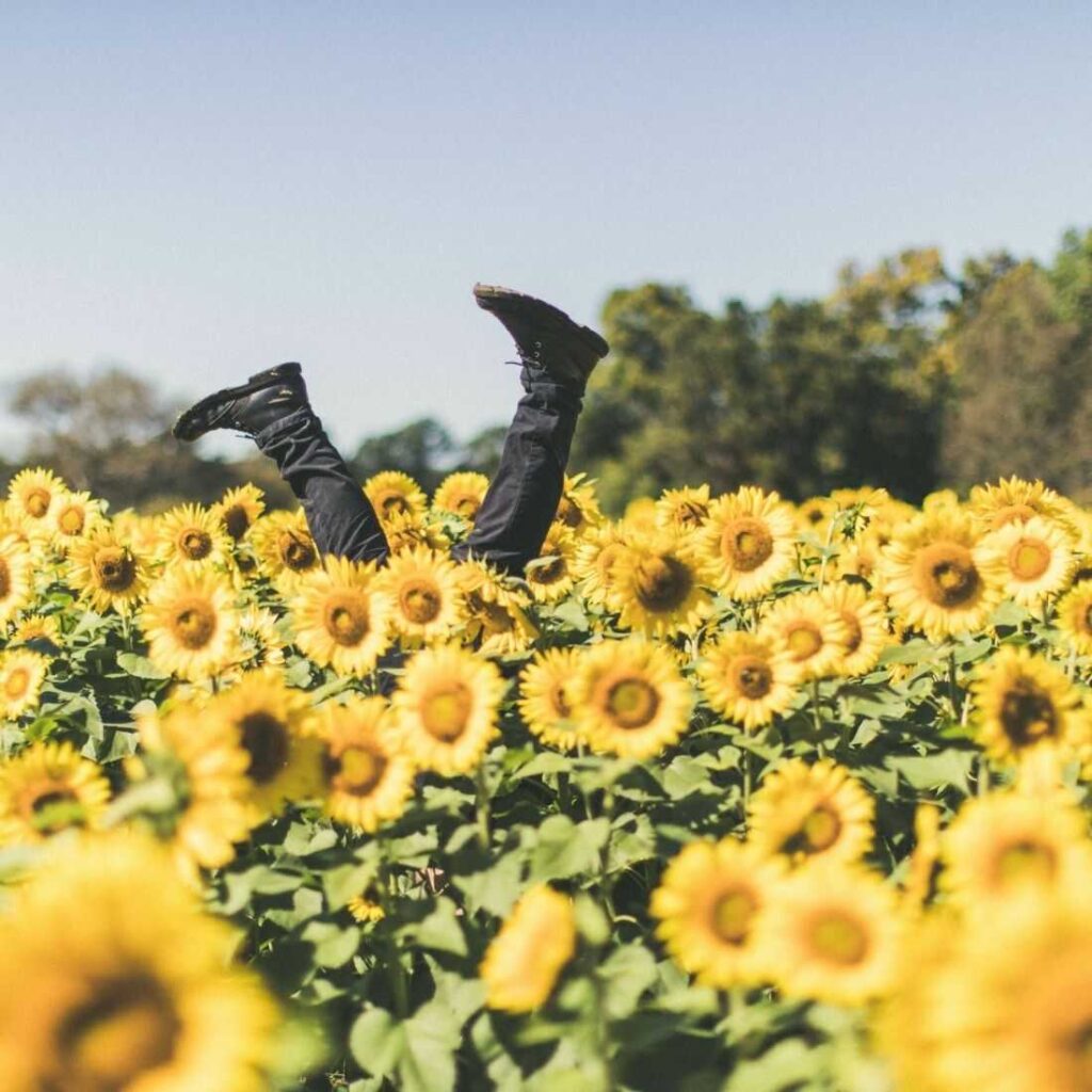 How to find happiness in a busy life